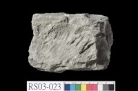 藏品(頁岩)的圖片